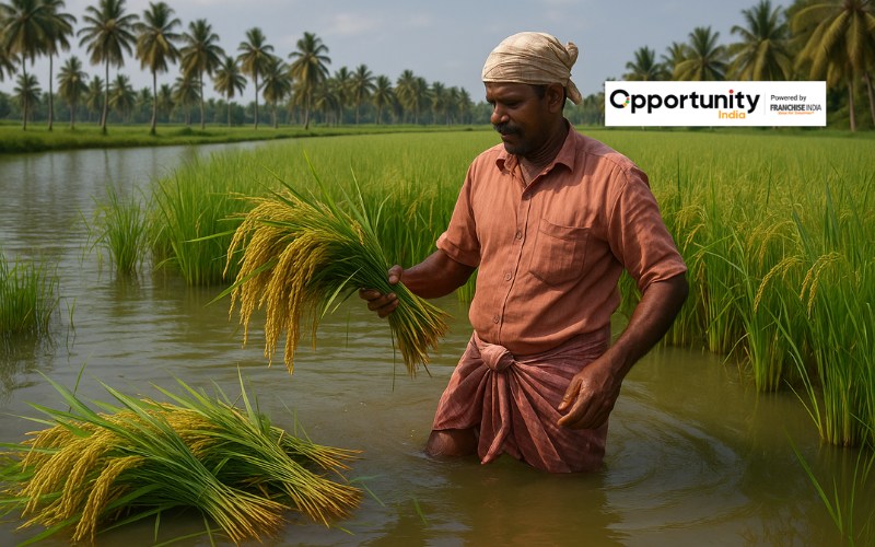 Pokkali Rice Farming Business in India